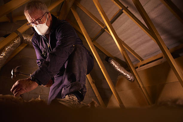 Best Types of Insulation in Arbuckle, CA